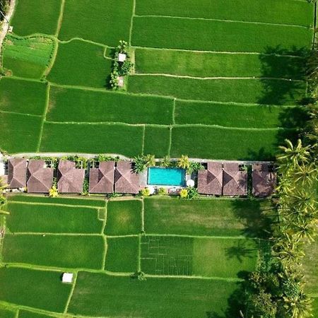 Intan Villa & Suite Ubud Zewnętrze zdjęcie