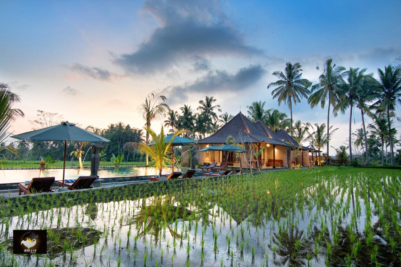 Intan Villa & Suite Ubud Zewnętrze zdjęcie